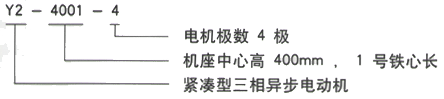 YR系列(H355-1000)高壓三相異步電機西安西瑪電機型號說明 YR系列(H355-1000)高壓三相異步電機西安西瑪電機型號說明