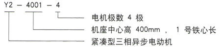 Y2系列三相異步電機技術參數(shù)——西安泰富西瑪電機（西安西瑪電機集團股份有限公司）官方網(wǎng)站