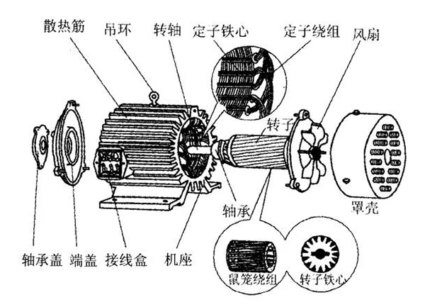 三相異步電動機的六種分類方法及具體分類。